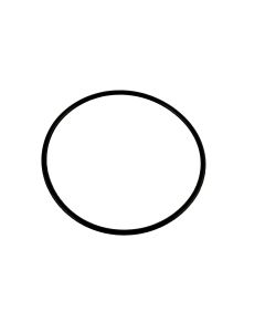 E-OR11385d988b.jpg